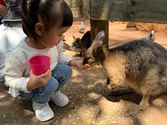 -费瑟代尔野生动物园