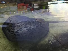 -鸿通城购物中心