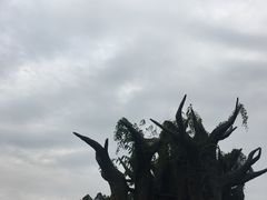 -观澜山水田园