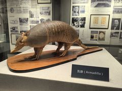 -中国医学科学院皮肤病医院