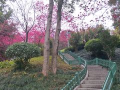 -乌山风景区