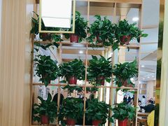 -塞拉宫兰州牛肉面