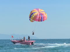 -五谷芳乳鸽王(海景店)