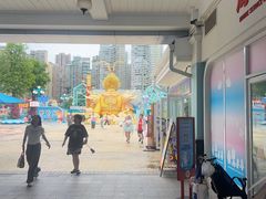-海合安成都极地海洋公园