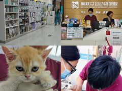 -美联众合动物医院·24h京西诊疗中心