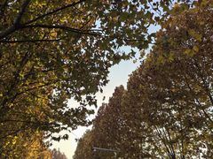 -南京金牛湖风景区