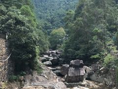 -花岩国家森林公园