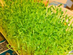 -蜀大侠火锅(四川北路店)