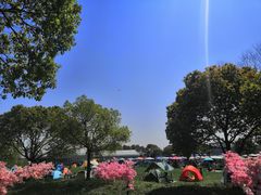 -上海杨姆庄园