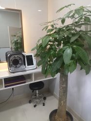 -新生植发·植养护一体