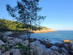 -广东惠东海龟国家级自然保护区