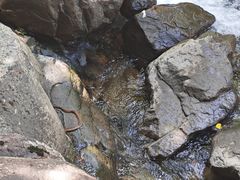 -浙北大峡谷