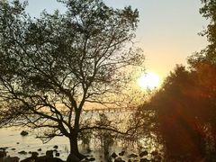 -宝安西湾红树林湿地公园