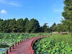 -苏州东太湖生态园