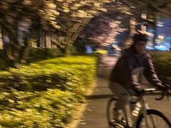 -新江湾城公园