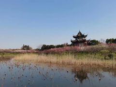 -上海海湾国家森林公园