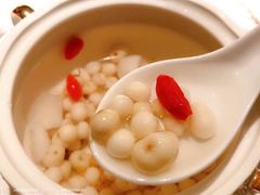 -汤城·料青山