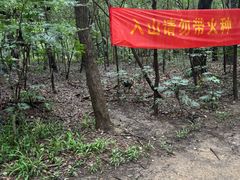 -紫金山山顶公园