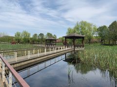 -同里国家湿地公园