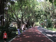 -南宁南湖公园