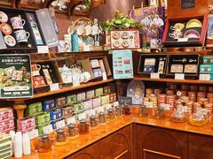 -布兰兔的植物庄园(杭州南宋御街店)