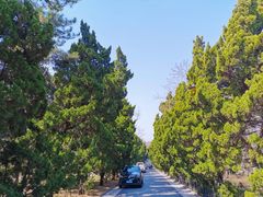 -青岛第二海水浴场