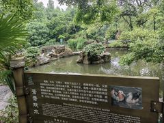 -东湖落雁景区