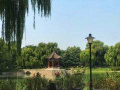 -达活泉公园