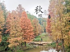 -云溪植物园