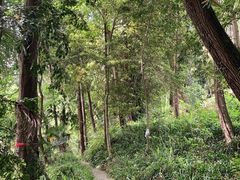 -都江堰普照寺