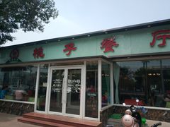 门面-桃子餐厅·天津菜(红星路直营店)