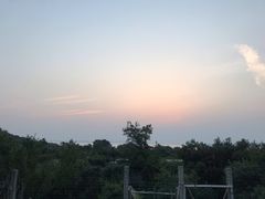 -呼吸森林·生态农庄农家乐私房菜