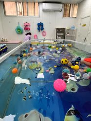 -唯丽莎婴儿游泳小儿推拿馆(清凉门大街店)