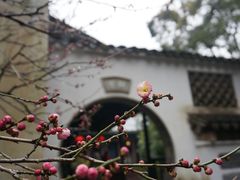 -惠山古镇·寄畅园