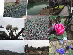 -白马涧龙池景区