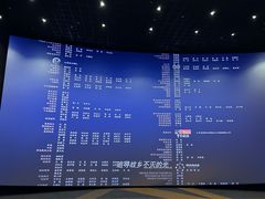 -金逸影城(大悦城IMAX激光店)