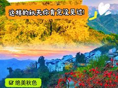 -千岛湖燃擎卡丁车赛车主题乐园(秀湖路店)