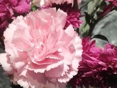 -左陕右甘(亚运村店)