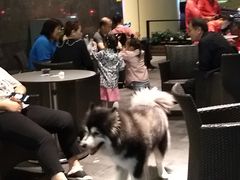 -麦当劳(虹桥南丰城店)