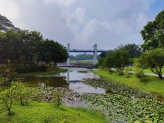 -东莞植物园