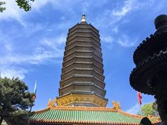 -八大处公园