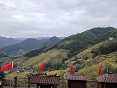 -紫鹊界梯田景区