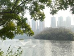 -重庆彩云湖湿地公园