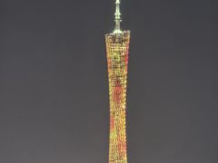 -珠江夜游省总码头