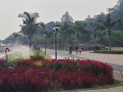 -野狸岛
