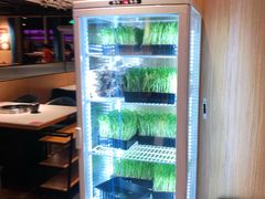 -煲宫猪肚鸡(晶品店)