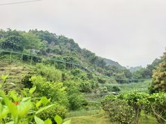 -双龙潭生态运动景区