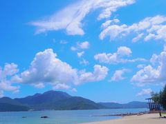 -花海间·即刻露营