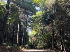 -虞山风景区
