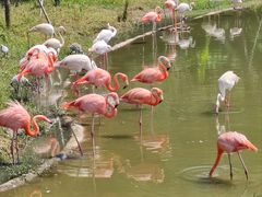 -杭州野生动物世界